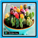 Cactus Plant Design APK