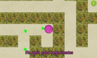 Sumbako Laberint screenshot 2