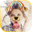 Dog Face Photo Editor App