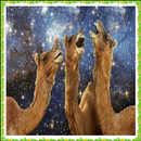 New Camel Onet Connect Game APK