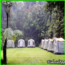 Camping Tent Design APK