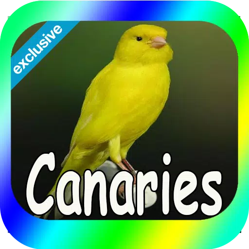 Best Canaries Singing Mp3 APK for Android Download