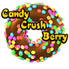 Candy Crush Berry icône