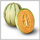Cantaloupe Fruits Onet Game icône