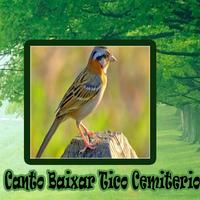 Canto Baixar Amazone BrasIio Mp3 โปสเตอร์