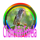 Canto do chanchão estrela 圖標