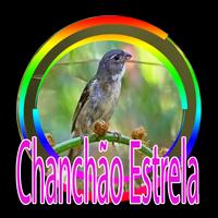 Canto do chanchão estrela Poster