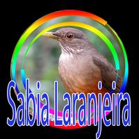 CANTO MATEIRO DO SABIÁ LARANJEIRA Plakat