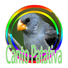 Cantos da patativa do sertão آئیکن