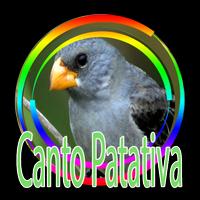 Cantos da patativa do sertão penulis hantaran