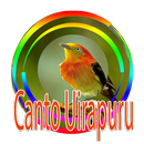 Canto do Uirapuru Verdadeiro APK