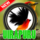 Cantos Da Uirapuru Aves icon