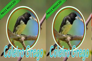 Cantos Da Coleiro Grego Complete স্ক্রিনশট 2