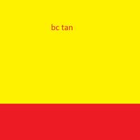 bctan 截图 1