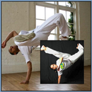 Capoeira Techniques Beginners APK