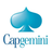 360° Capgemini APK