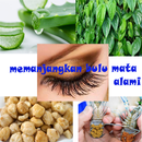 Cara Memanjangkan Bulu Mata APK