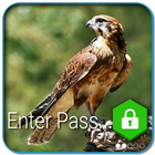 Falcon Bird PIN Lock icon