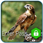 Falcon Bird PIN Lock आइकन