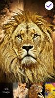 Lion Eye Lock Screen تصوير الشاشة 2