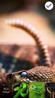 Poisonous Snake PIN Lock syot layar 2