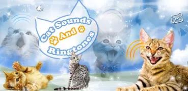 Cat Ringtone Sounds 😼 Ringtones and Notifications