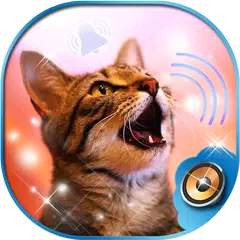 Katzengeräusche 😼 Schöne Klingeltöne Kostenlos APK Herunterladen