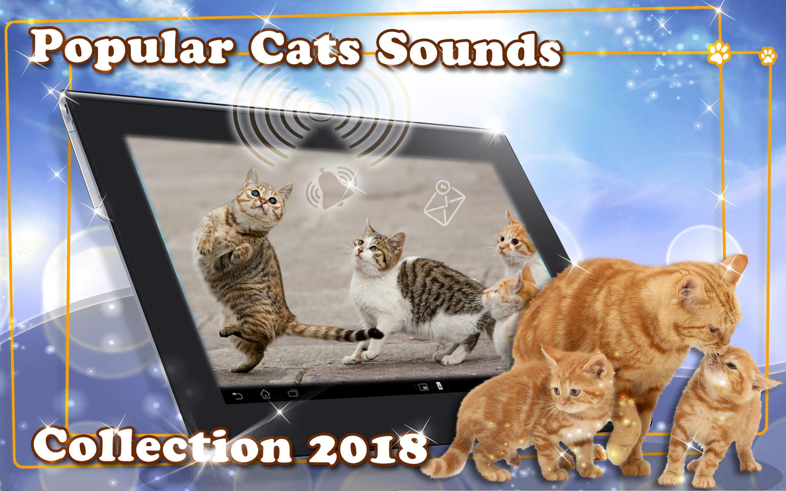 Аудио звук кошек