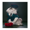 APK Cat Accessori Idea