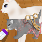cat birth games icon