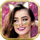 Cara de gato filtros snap APK