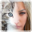 add cat face to picture APK