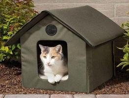 Cat House Design imagem de tela 3