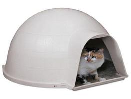 Cat House Design Cartaz