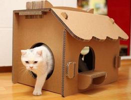 Cat House Design स्क्रीनशॉट 1