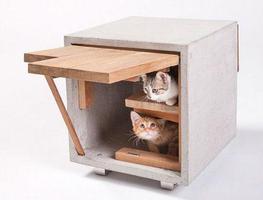 Cat House Design syot layar 2