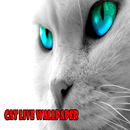 cat live wallpaper APK