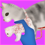 Katze schwanger Chirurgie 2