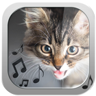 Cat Ringtones – Meow Sounds আইকন