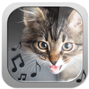 Cat Ringtones – Meow Sounds APK