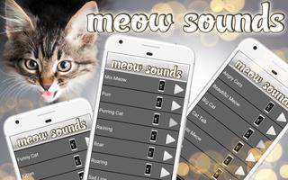 Cat Ringtones – Meow Sounds پوسٹر