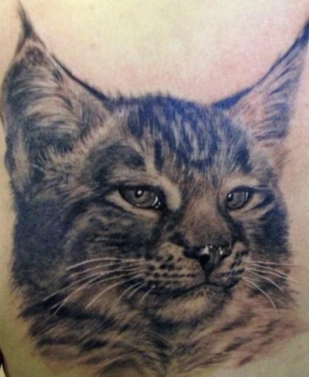 Wow 21 Gambar Tato  Kucing Lucu Contoh Gambar Tato 