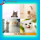 Cat Wallpaper icon