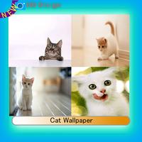 Cat Wallpaper Affiche