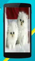 Cat Wallpaper EDGE Full HD スクリーンショット 1