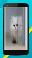 Cat Wallpaper EDGE Full HD スクリーンショット 2