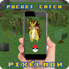 Pocket  Pixelmon catch icône