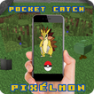 Pocket  Pixelmon catch