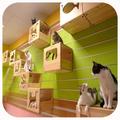 Cat Cage Ideas