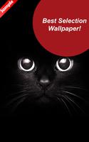 Cats Wallpaper HD - Fanny Ekran Görüntüsü 3